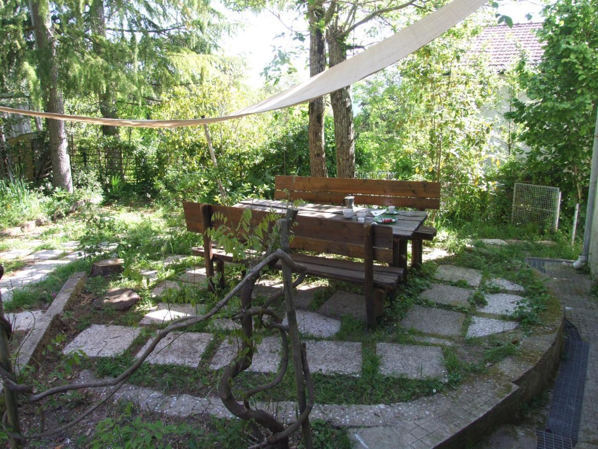 Vacanze Toscane In The Country - Villa Agrifogli Сасета Екстериор снимка