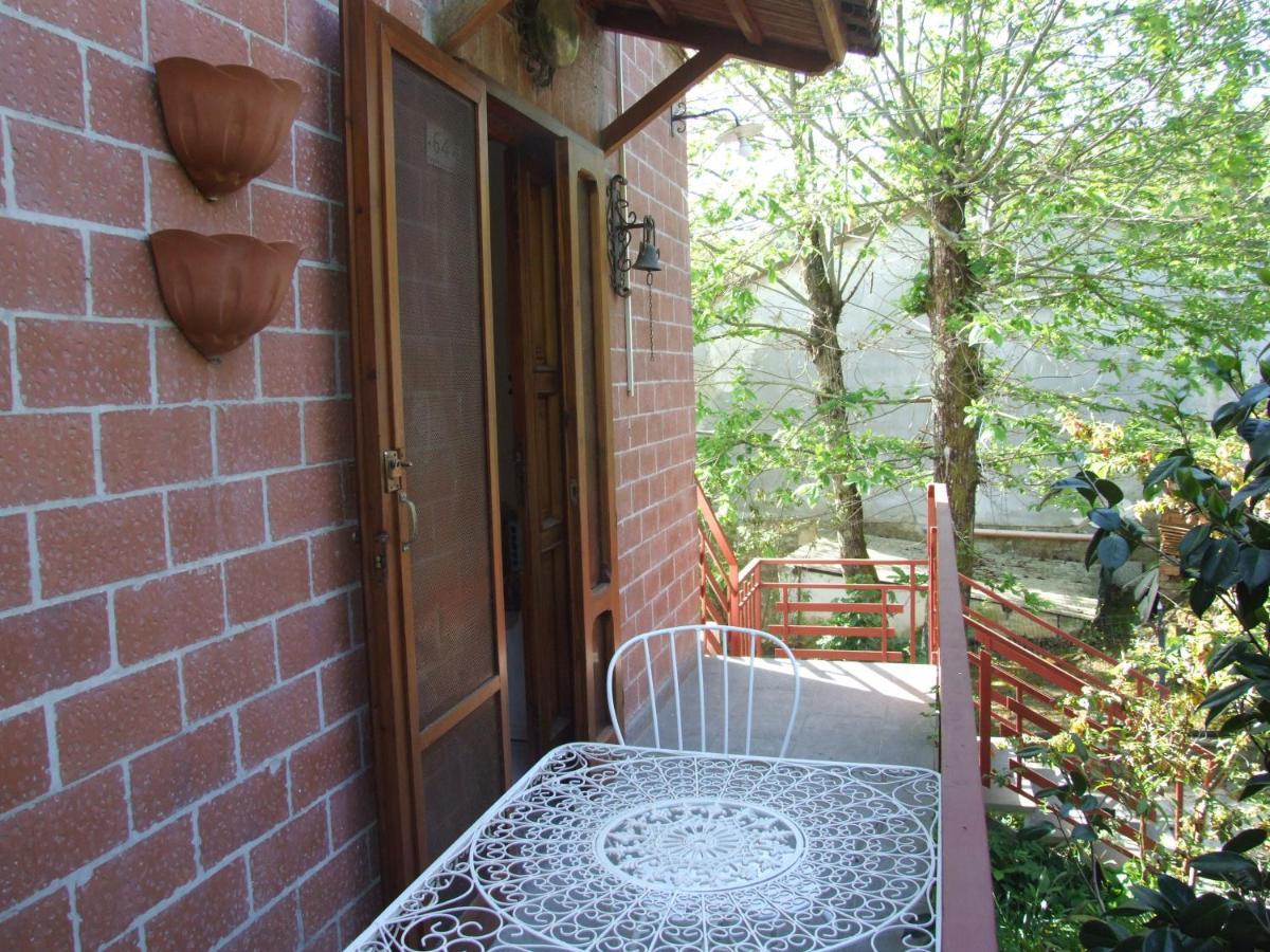 Vacanze Toscane In The Country - Villa Agrifogli Сасета Екстериор снимка