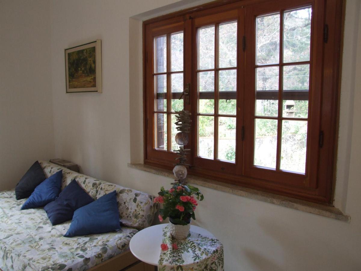 Vacanze Toscane In The Country - Villa Agrifogli Сасета Екстериор снимка