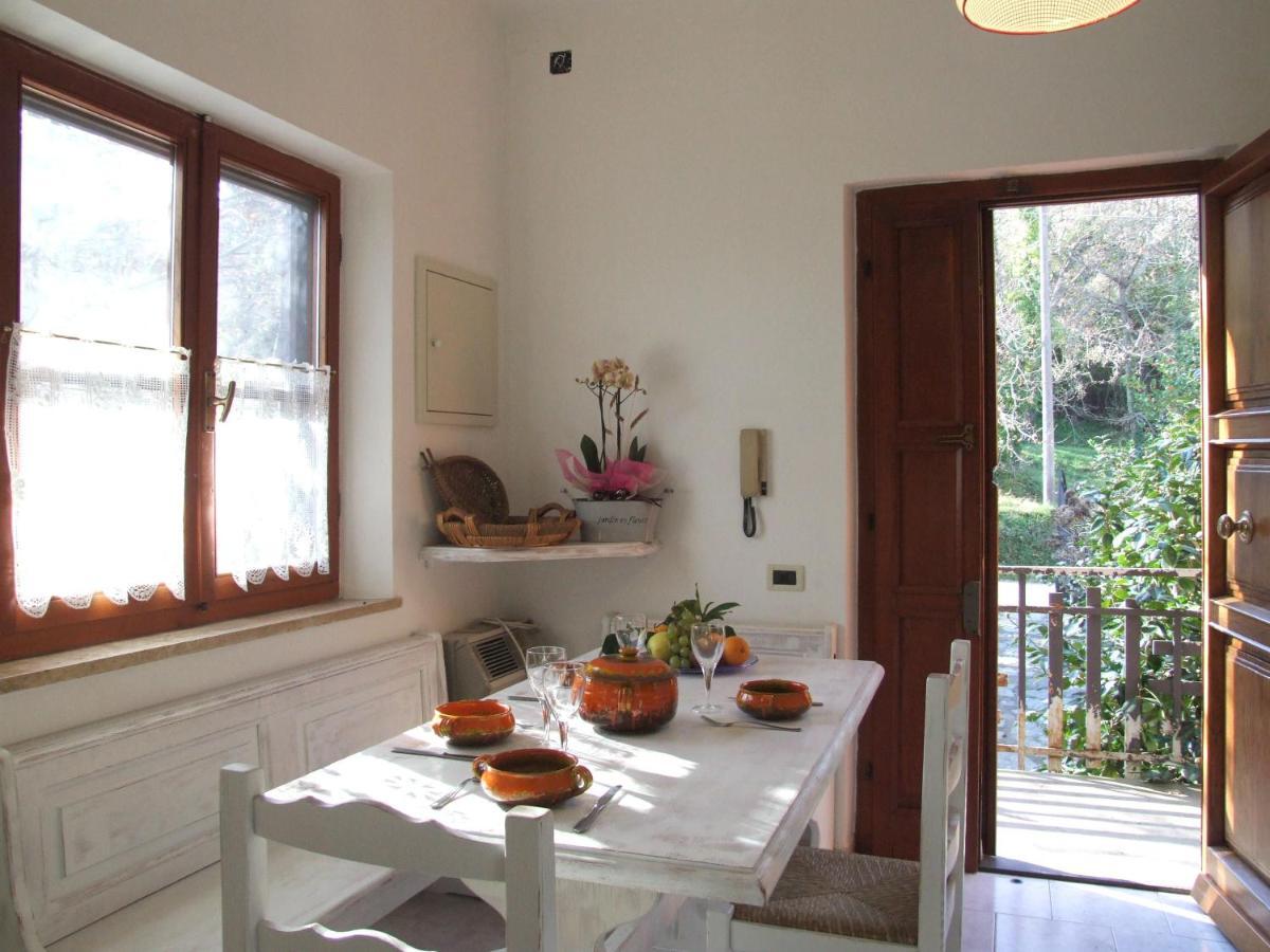 Vacanze Toscane In The Country - Villa Agrifogli Сасета Екстериор снимка