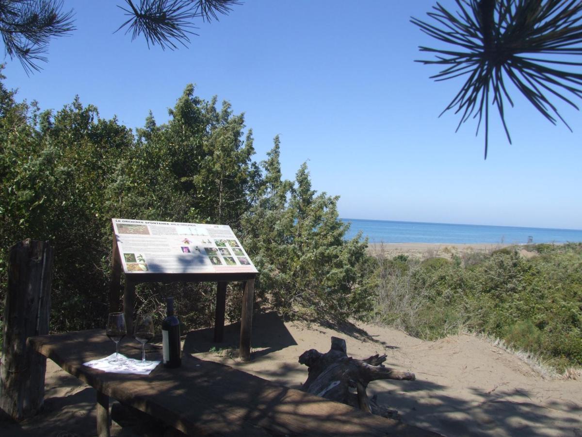 Vacanze Toscane In The Country - Villa Agrifogli Сасета Екстериор снимка